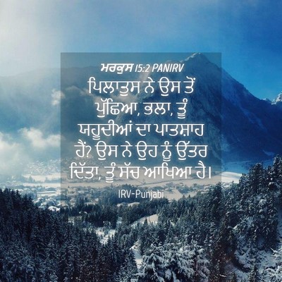 Picture 04 - ਮਰਕੁਸ 15:2 PANIRV - ਪਿਲਾਤੁਸ ਨੇ ਉਸ ਤੋਂ - Bible Verse Picture