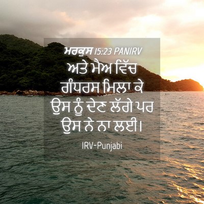 Picture 04 - ਮਰਕੁਸ 15:23 PANIRV - ਅਤੇ ਮੈਅ ਵਿੱਚ ਗੰਧਰਸ - Bible Verse Picture