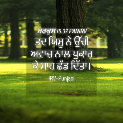 Picture 04 - ਮਰਕੁਸ 15:37 PANIRV - ਤਦ ਯਿਸੂ ਨੇ ਉੱਚੀ - Bible Verse Picture