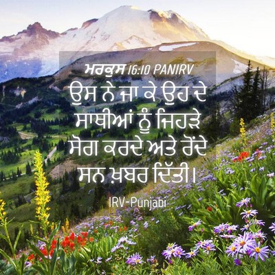 Picture 04 - ਮਰਕੁਸ 16:10 PANIRV - ਉਸ ਨੇ ਜਾ ਕੇ ਉਹ ਦੇ - Bible Verse Picture