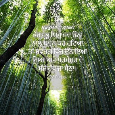 Picture 04 - ਮਰਕੁਸ 16:19 PANIRV - ਫੇਰ ਪ੍ਰਭੂ ਯਿਸੂ ਜਦ - Bible Verse Picture