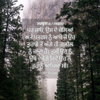 Picture 04 - ਮਰਕੁਸ 16:7 PANIRV - ਪਰ ਜਾਓ, ਉਸ ਦੇ - Bible Verse Picture