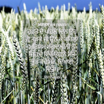 Picture 04 - ਮਰਕੁਸ 16:9 PANIRV - ਹਫ਼ਤੇ ਦੇ ਪਹਿਲੇ ਦਿਨ - Bible Verse Picture