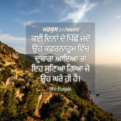 Picture 04 - ਮਰਕੁਸ 2:1 PANIRV - ਕਈ ਦਿਨਾਂ ਦੇ ਪਿੱਛੋਂ - Bible Verse Picture