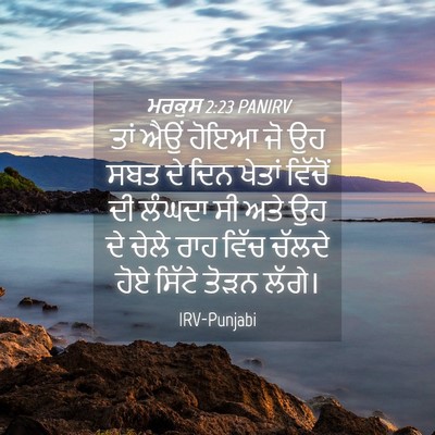 Picture 04 - ਮਰਕੁਸ 2:23 PANIRV - ਤਾਂ ਐਉਂ ਹੋਇਆ ਜੋ ਉਹ - Bible Verse Picture