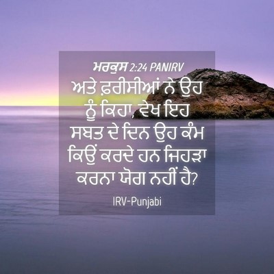 Picture 04 - ਮਰਕੁਸ 2:24 PANIRV - ਅਤੇ ਫ਼ਰੀਸੀਆਂ ਨੇ ਉਹ - Bible Verse Picture