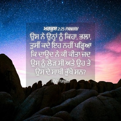 Picture 04 - ਮਰਕੁਸ 2:25 PANIRV - ਉਸ ਨੇ ਉਨ੍ਹਾਂ ਨੂੰ - Bible Verse Picture