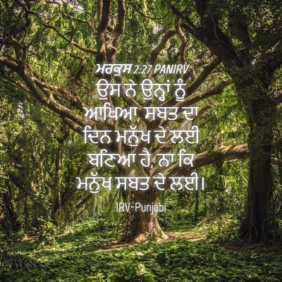 Picture 04 - ਮਰਕੁਸ 2:27 PANIRV - ਉਸ ਨੇ ਉਨ੍ਹਾਂ ਨੂੰ - Bible Verse Picture