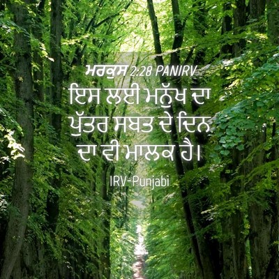 Picture 04 - ਮਰਕੁਸ 2:28 PANIRV - ਇਸ ਲਈ ਮਨੁੱਖ ਦਾ - Bible Verse Picture