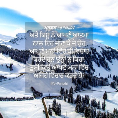 Picture 04 - ਮਰਕੁਸ 2:8 PANIRV - ਅਤੇ ਯਿਸੂ ਨੇ ਆਪਣੇ - Bible Verse Picture