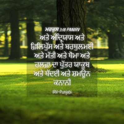 Picture 04 - ਮਰਕੁਸ 3:18 PANIRV - ਅਤੇ ਅੰਦ੍ਰਿਯਾਸ ਅਤੇ - Bible Verse Picture