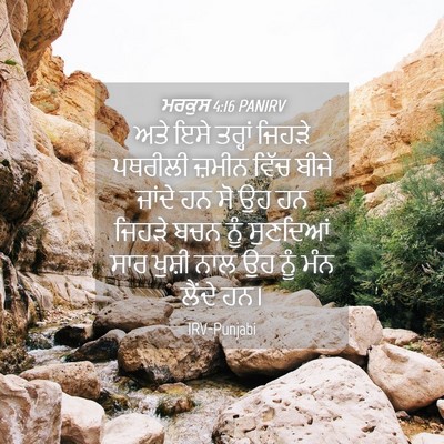 Picture 04 - ਮਰਕੁਸ 4:16 PANIRV - ਅਤੇ ਇਸੇ ਤਰ੍ਹਾਂ - Bible Verse Picture