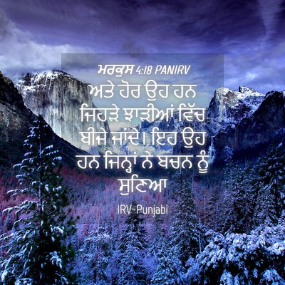 Picture 04 - ਮਰਕੁਸ 4:18 PANIRV - ਅਤੇ ਹੋਰ ਉਹ ਹਨ ਜਿਹੜੇ - Bible Verse Picture