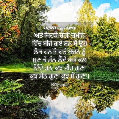 Picture 04 - ਮਰਕੁਸ 4:20 PANIRV - ਅਤੇ ਜਿਹੜੇ ਚੰਗੀ - Bible Verse Picture