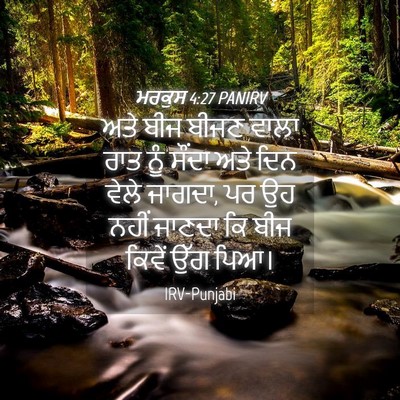 Picture 04 - ਮਰਕੁਸ 4:27 PANIRV - ਅਤੇ ਬੀਜ ਬੀਜਣ ਵਾਲਾ - Bible Verse Picture