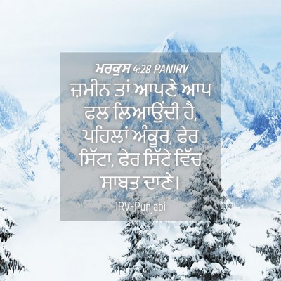 Picture 04 - ਮਰਕੁਸ 4:28 PANIRV - ਜ਼ਮੀਨ ਤਾਂ ਆਪਣੇ ਆਪ - Bible Verse Picture