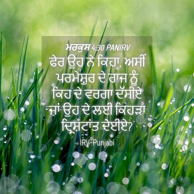 Picture 04 - ਮਰਕੁਸ 4:30 PANIRV - ਫੇਰ ਉਹ ਨੇ ਕਿਹਾ, - Bible Verse Picture