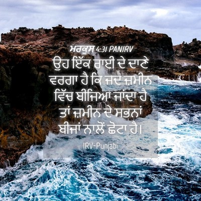 Picture 04 - ਮਰਕੁਸ 4:31 PANIRV - ਉਹ ਇੱਕ ਰਾਈ ਦੇ ਦਾਣੇ - Bible Verse Picture