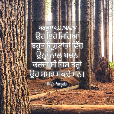 Picture 04 - ਮਰਕੁਸ 4:33 PANIRV - ਉਹ ਇਹੋ ਜਿਹਿਆਂ ਬਹੁਤ - Bible Verse Picture