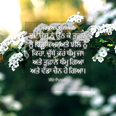 Picture 04 - ਮਰਕੁਸ 4:39 PANIRV - ਤਦ ਉਸ ਨੇ ਉੱਠ ਕੇ - Bible Verse Picture