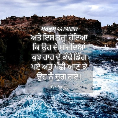 Picture 04 - ਮਰਕੁਸ 4:4 PANIRV - ਅਤੇ ਇਸ ਤਰ੍ਹਾਂ ਹੋਇਆ - Bible Verse Picture