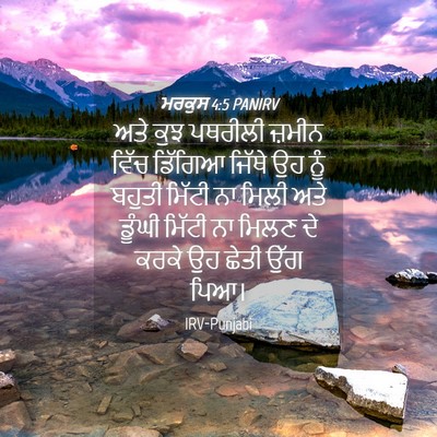 Picture 04 - ਮਰਕੁਸ 4:5 PANIRV - ਅਤੇ ਕੁਝ ਪਥਰੀਲੀ - Bible Verse Picture