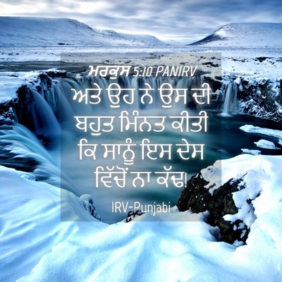 Picture 04 - ਮਰਕੁਸ 5:10 PANIRV - ਅਤੇ ਉਹ ਨੇ ਉਸ ਦੀ - Bible Verse Picture