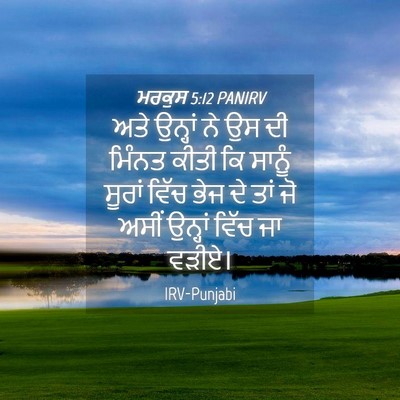Picture 04 - ਮਰਕੁਸ 5:12 PANIRV - ਅਤੇ ਉਨ੍ਹਾਂ ਨੇ ਉਸ ਦੀ - Bible Verse Picture