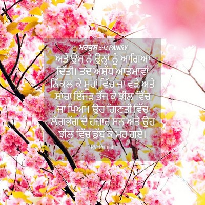 Picture 04 - ਮਰਕੁਸ 5:13 PANIRV - ਅਤੇ ਉਸ ਨੇ ਉਨ੍ਹਾਂ - Bible Verse Picture