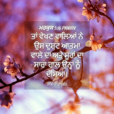 Picture 04 - ਮਰਕੁਸ 5:16 PANIRV - ਤਾਂ ਵੇਖਣ ਵਾਲਿਆਂ ਨੇ - Bible Verse Picture