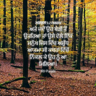 Picture 04 - ਮਰਕੁਸ 5:2 PANIRV - ਅਤੇ ਜਦੋਂ ਉਹ ਬੇੜੀ - Bible Verse Picture