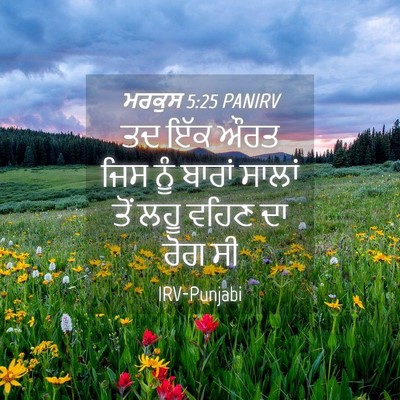 Picture 04 - ਮਰਕੁਸ 5:25 PANIRV - ਤਦ ਇੱਕ ਔਰਤ ਜਿਸ ਨੂੰ - Bible Verse Picture