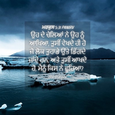 Picture 04 - ਮਰਕੁਸ 5:31 PANIRV - ਉਹ ਦੇ ਚੇਲਿਆਂ ਨੇ ਉਹ - Bible Verse Picture