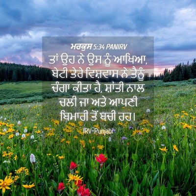 Picture 04 - ਮਰਕੁਸ 5:34 PANIRV - ਤਾਂ ਉਹ ਨੇ ਉਸ ਨੂੰ - Bible Verse Picture