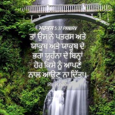 Picture 04 - ਮਰਕੁਸ 5:37 PANIRV - ਤਾਂ ਉਸ ਨੇ ਪਤਰਸ ਅਤੇ - Bible Verse Picture