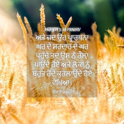 Picture 04 - ਮਰਕੁਸ 5:38 PANIRV - ਅਤੇ ਜਦ ਉਹ ਪ੍ਰਾਰਥਨਾ - Bible Verse Picture
