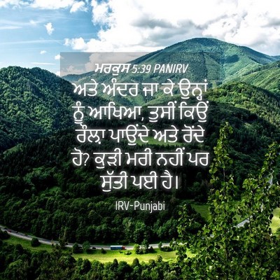 Picture 04 - ਮਰਕੁਸ 5:39 PANIRV - ਅਤੇ ਅੰਦਰ ਜਾ ਕੇ - Bible Verse Picture
