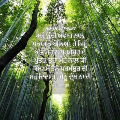 Picture 04 - ਮਰਕੁਸ 5:7 PANIRV - ਅਤੇ ਉੱਚੀ ਅਵਾਜ਼ ਨਾਲ - Bible Verse Picture