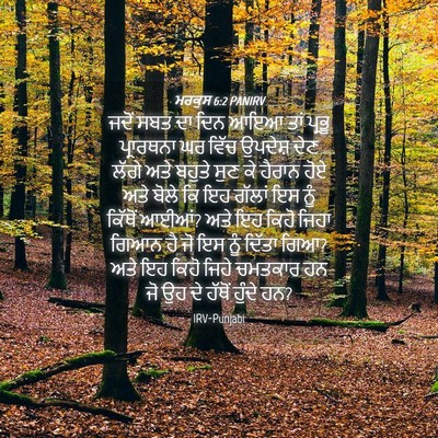 Picture 04 - ਮਰਕੁਸ 6:2 PANIRV - ਜਦੋਂ ਸਬਤ ਦਾ ਦਿਨ ਆਇਆ - Bible Verse Picture
