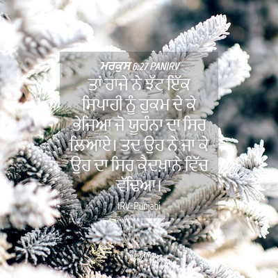 Picture 04 - ਮਰਕੁਸ 6:27 PANIRV - ਤਾਂ ਰਾਜੇ ਨੇ ਝੱਟ ਇੱਕ - Bible Verse Picture