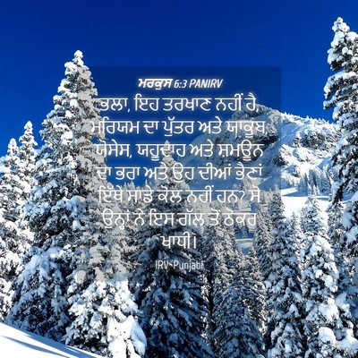 Picture 04 - ਮਰਕੁਸ 6:3 PANIRV - ਭਲਾ, ਇਹ ਤਰਖਾਣ ਨਹੀਂ - Bible Verse Picture