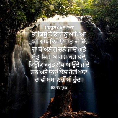 Picture 04 - ਮਰਕੁਸ 6:31 PANIRV - ਤਾਂ ਯਿਸੂ ਨੇ ਉਨ੍ਹਾਂ - Bible Verse Picture