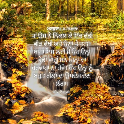 Picture 04 - ਮਰਕੁਸ 6:34 PANIRV - ਤਾਂ ਉਸ ਨੇ ਨਿੱਕਲ ਕੇ - Bible Verse Picture