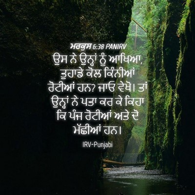 Picture 04 - ਮਰਕੁਸ 6:38 PANIRV - ਉਸ ਨੇ ਉਨ੍ਹਾਂ ਨੂੰ - Bible Verse Picture