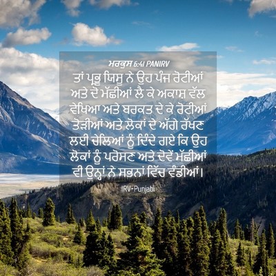 Picture 04 - ਮਰਕੁਸ 6:41 PANIRV - ਤਾਂ ਪ੍ਰਭੂ ਯਿਸੂ ਨੇ - Bible Verse Picture