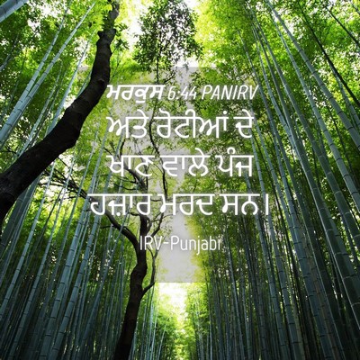 Picture 04 - ਮਰਕੁਸ 6:44 PANIRV - ਅਤੇ ਰੋਟੀਆਂ ਦੇ ਖਾਣ - Bible Verse Picture