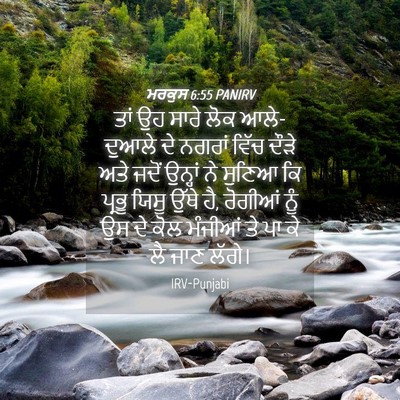 Picture 04 - ਮਰਕੁਸ 6:55 PANIRV - ਤਾਂ ਉਹ ਸਾਰੇ ਲੋਕ - Bible Verse Picture