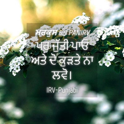 Picture 04 - ਮਰਕੁਸ 6:9 PANIRV - ਪਰ ਜੁੱਤੀ ਪਾਓ ਅਤੇ ਦੋ - Bible Verse Picture