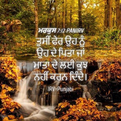 Picture 04 - ਮਰਕੁਸ 7:12 PANIRV - ਤੁਸੀਂ ਫੇਰ ਉਹ ਨੂੰ ਉਹ - Bible Verse Picture