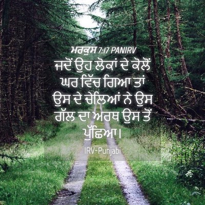Picture 04 - ਮਰਕੁਸ 7:17 PANIRV - ਜਦੋਂ ਉਹ ਲੋਕਾਂ ਦੇ - Bible Verse Picture